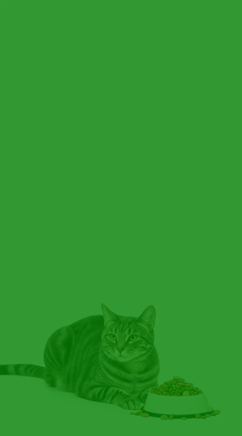 Banner 3