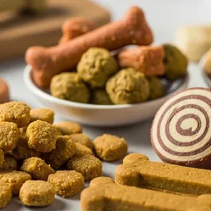 lasoshchi-dlia-sobak