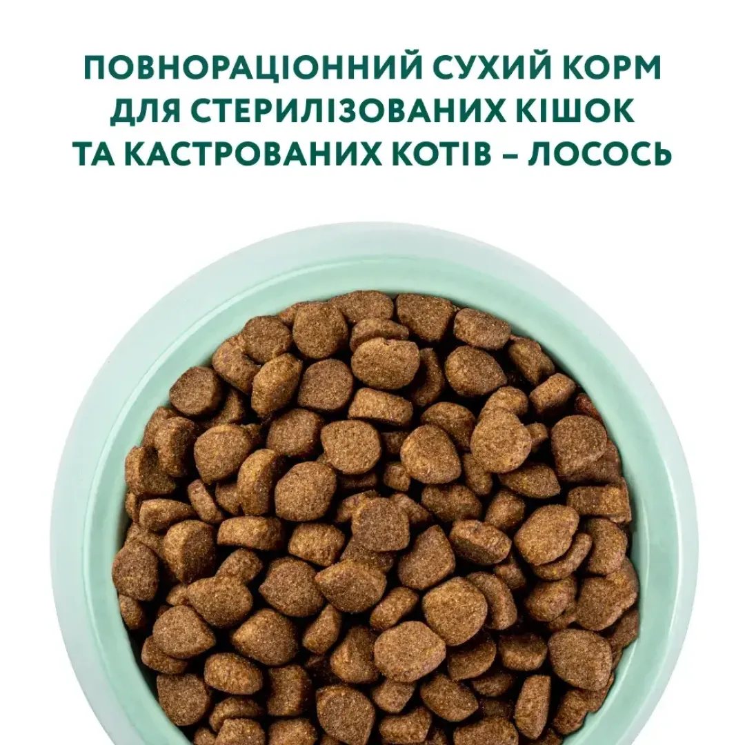 6241924936_w1280_h1280_sukhiy_korm_dlya_kotiv_op__losos_54660859414787