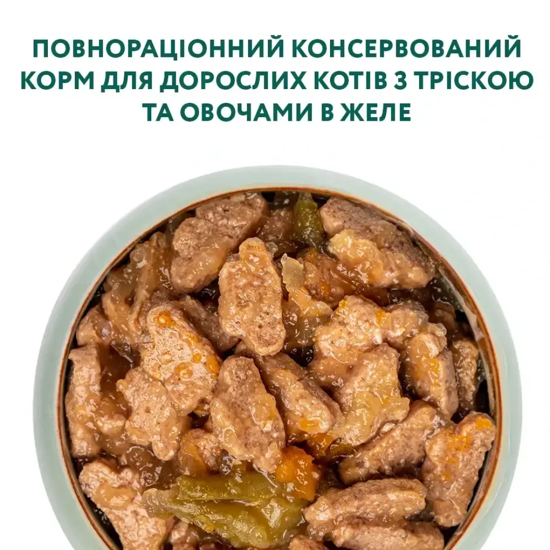 6244936258_w1280_h1280_vlazhnyy_korm_dlja_vzrosl__zhele_38297625469235