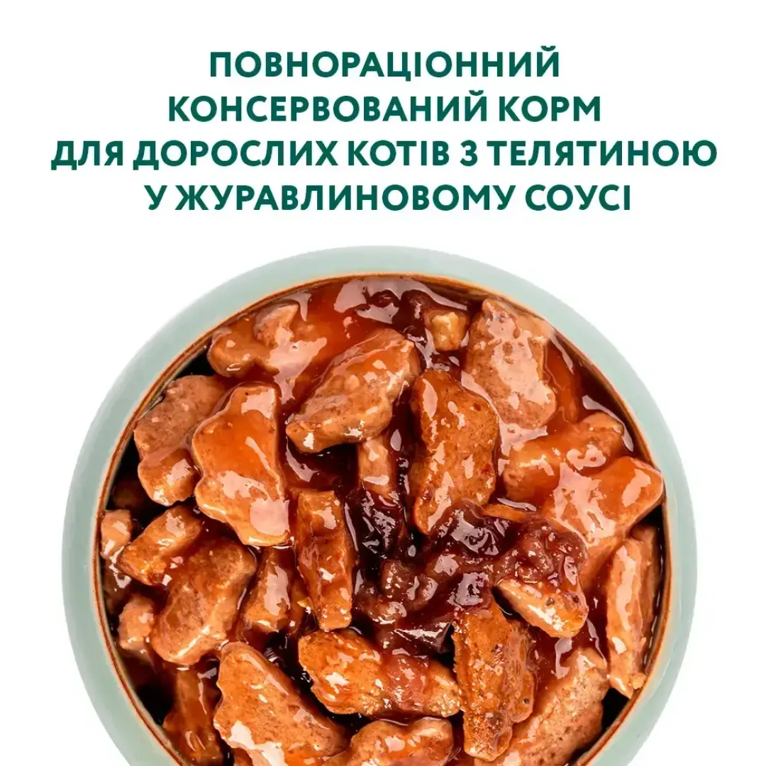 6244978856_w1280_h1280_vlazhnyy_korm_dlja_vzrosl__atina_37848549563266