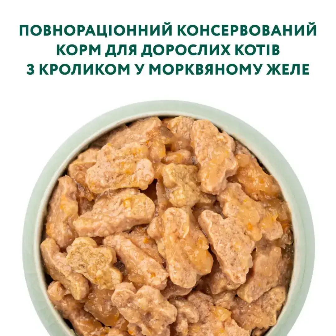 6245145574_w1280_h1280_vlazhnyy_korm_dlja_koshek__zhele_96983083771985