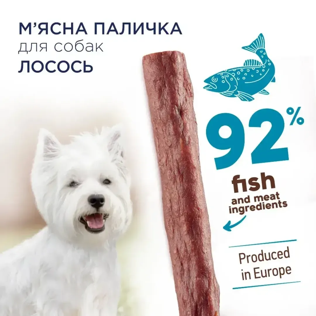 6251932460_w1280_h1280_lasoshchi_dlya_sobak_iz_c__losos_42044204443753