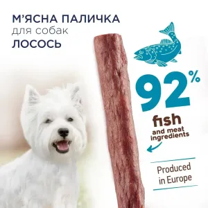 6251932460_w1280_h1280_lasoshchi_dlya_sobak_iz_c__losos_42044204443753