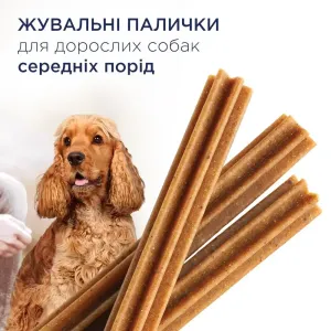 6251971906_w1280_h1280_lasoshchi_dlya_sobak_sere___77_g_46082215402762
