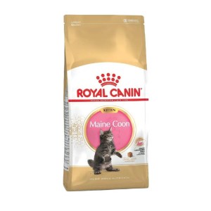 sukhiy-korm-dlya-koshenyat-porodi-meyn-kun-royal-canin-kitten-maine-coon-400-g-domashnya-ptitsya-96382454131557
