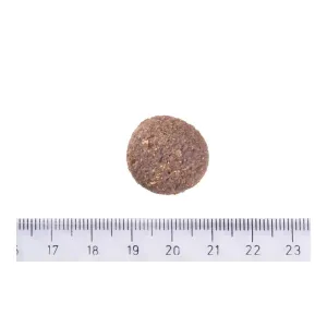 sukhiy-korm-dlya-sobak-velikikh-porid-brit-care-dog-hypoallergenic-adult-large-breed-yagnya-12-kg-36159897022733