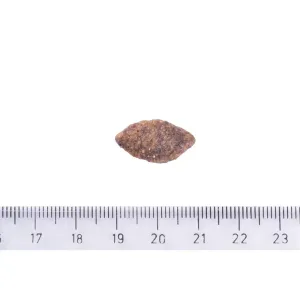 sukhiy-korm-dlya-sobak-z-chutlivim-travlennyam-brit-care-dog-grain-free-sensitive-bezzernoviy-olenina-3-kg-42977572848499