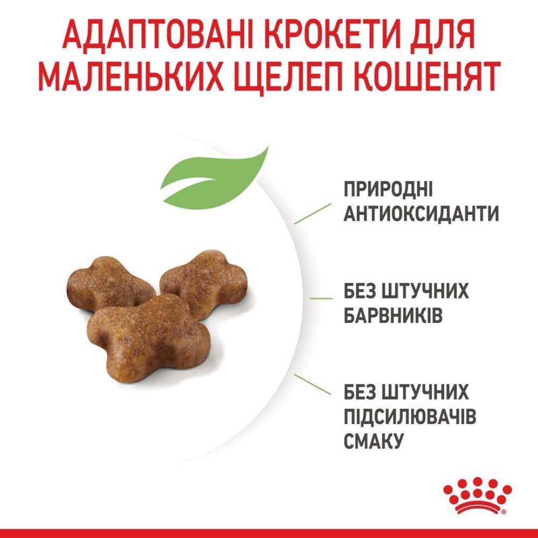 suxoy-korm-dlja-kotjat-royal-canin-kitten-400-g-domashnjaja-ptica-54350239348637