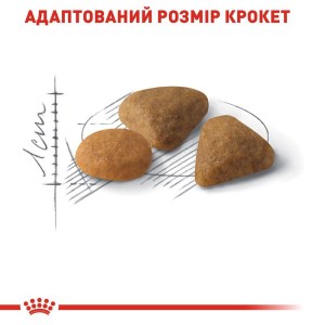 suxoy-korm-dlja-priveredlivyx-kotov-s-chuvstvitelnym-pishevareniem-royal-canin-savour-exigent-400-g-domashnjaja-ptica-34000154107885