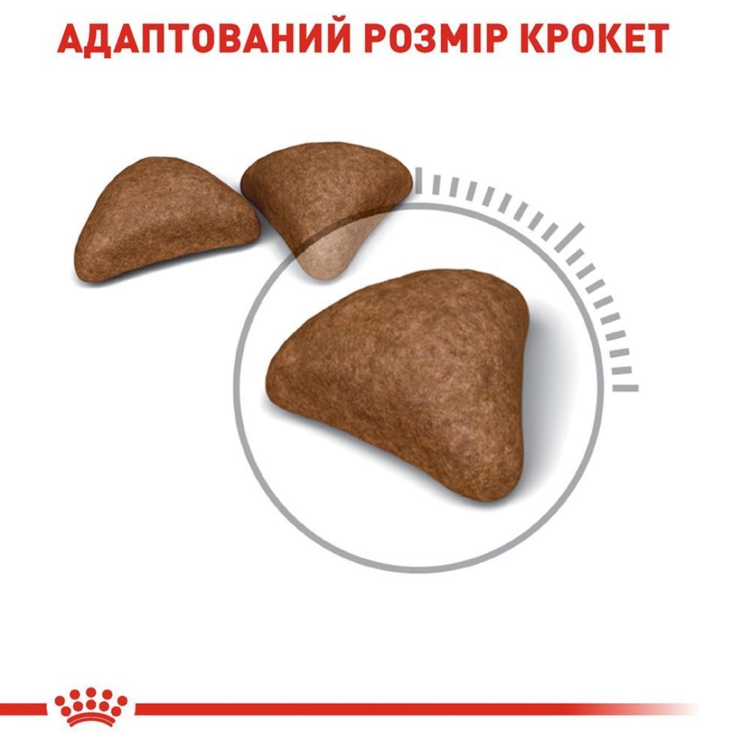 suxoy-korm-dlja-vyvedenija-shersti-u-koshek-royal-canin-hairball--34-care-400-g-domashnjaja-ptica-54777958093515